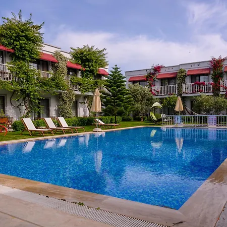 酒店 黄花酒店 京多安