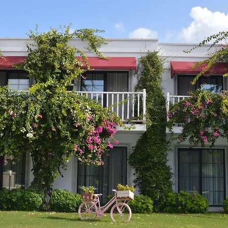 Rustica Gundogan (Bodrum)