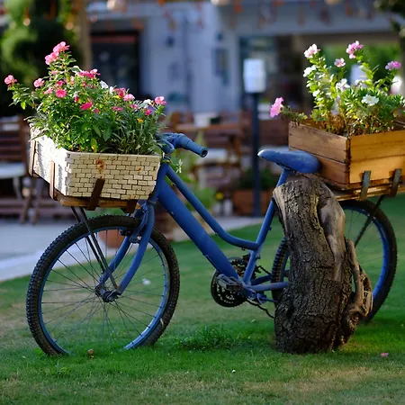 Rustica Gundogan (Bodrum)