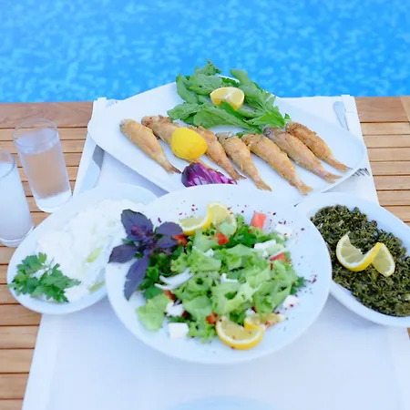 Rustica 2* גונדוגן