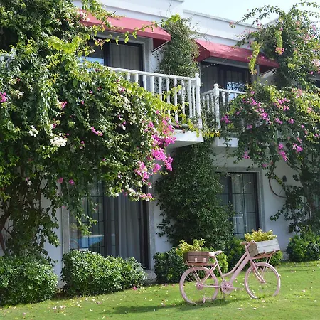 Rustica 2* Gundogan (Bodrum)