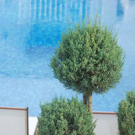 Rustica Hotel Gündoğan