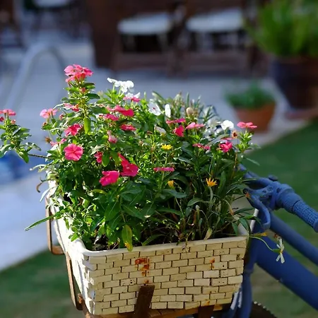 Rustica Gundogan (Bodrum)