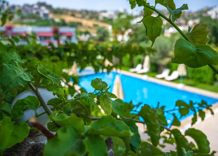 Ξενοδοχείο Rustica