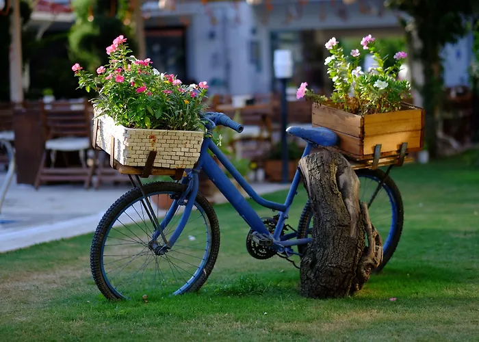 Rustica Gundogan (Bodrum)