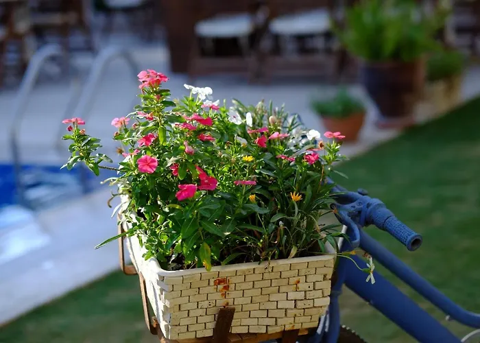 Rustica Gundogan (Bodrum)